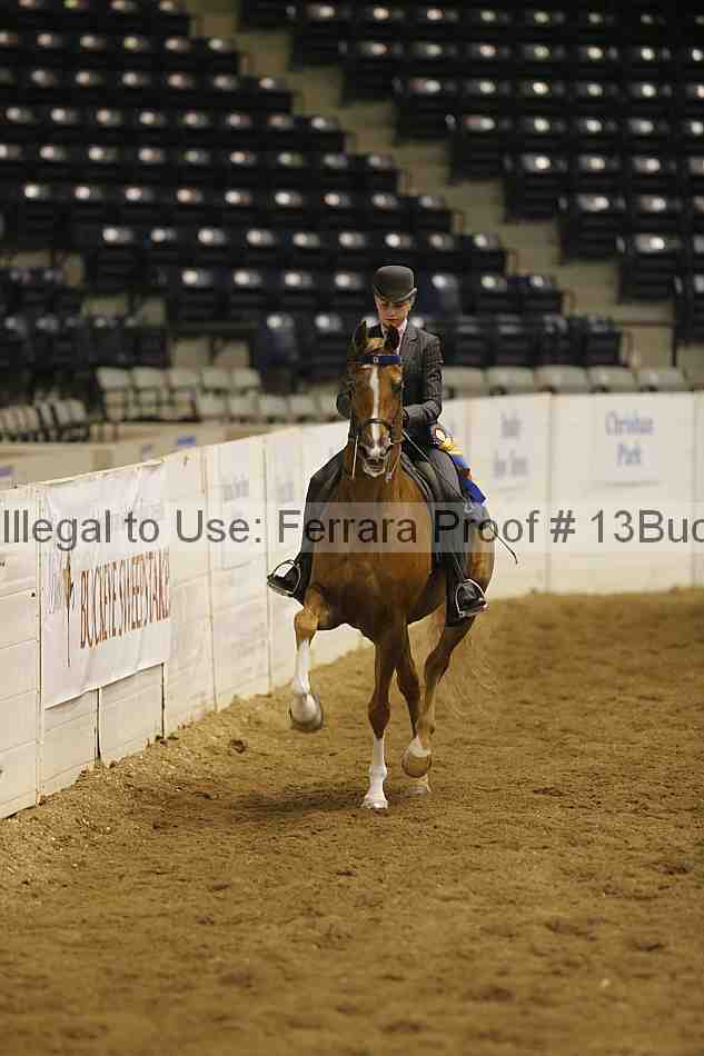 Proof 13buck_6021