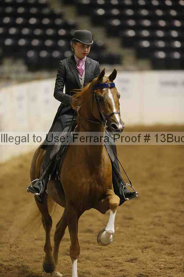 Proof 13buck_6023