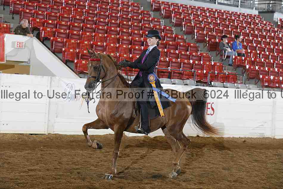 Proof 13buck_6024