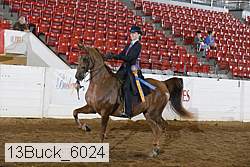 13buck_6024 proof