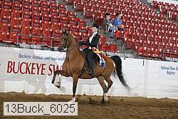13buck_6025 proof