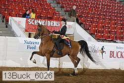 13buck_6026 proof