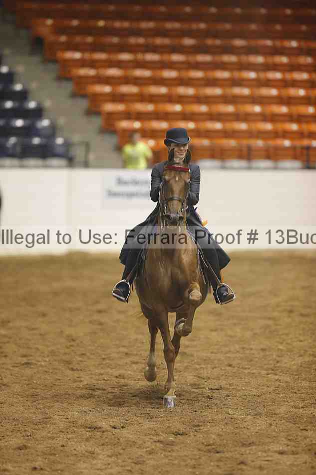 Proof 13buck_6027