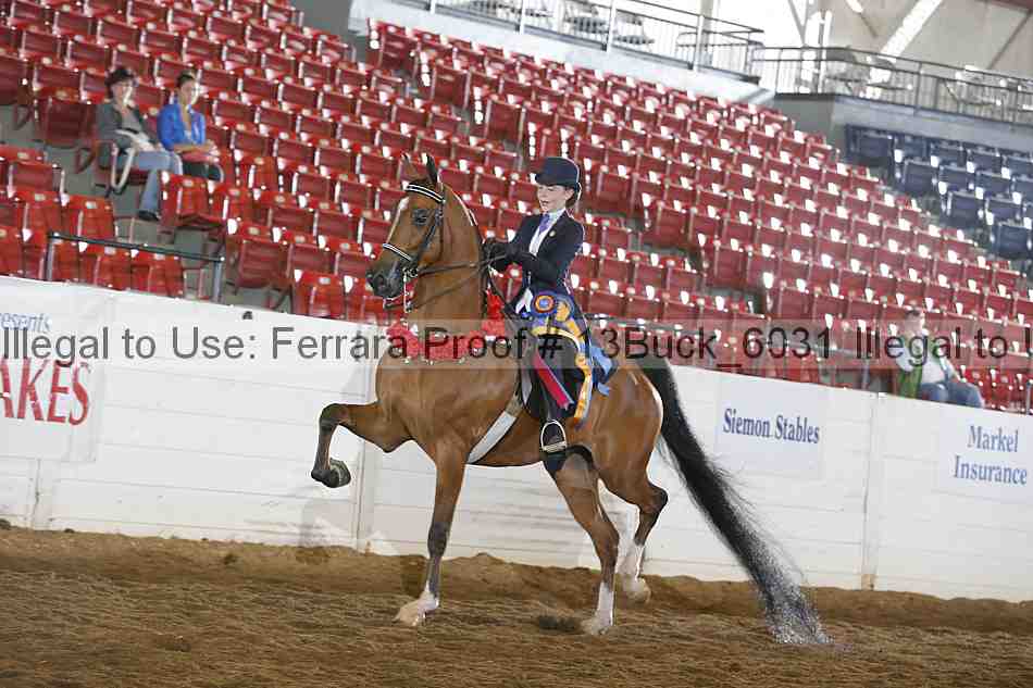 Proof 13buck_6031