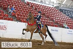 13buck_6031 proof
