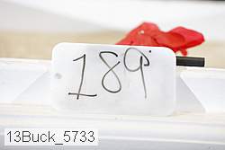 13buck_5733 proof