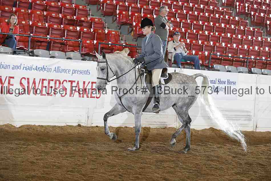 Proof 13buck_5734