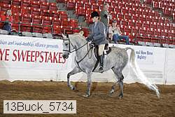 13buck_5734 proof
