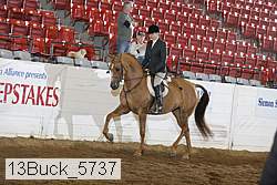 13buck_5737 proof
