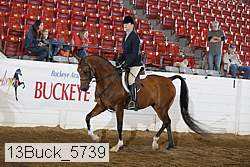 13buck_5739 proof