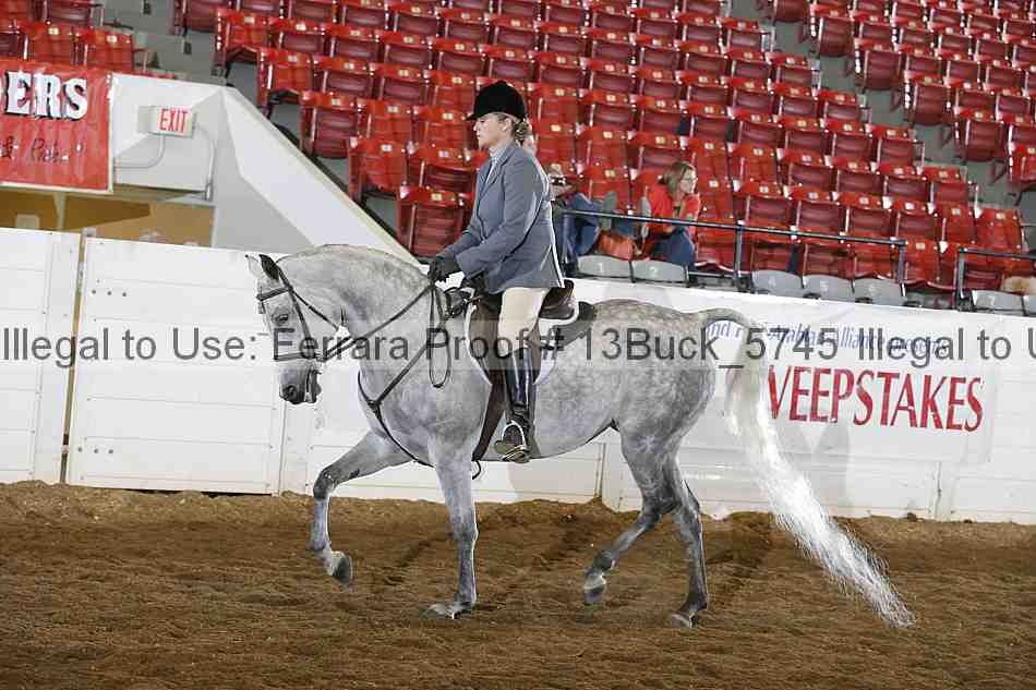 Proof 13buck_5745