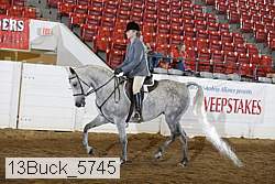 13buck_5745 proof