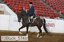 13buck_5748 proof
