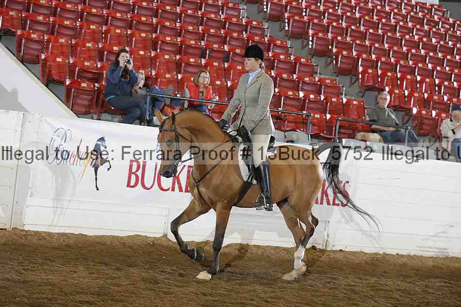 Proof 13buck_5752