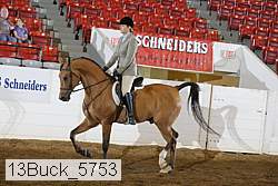 13buck_5753 proof