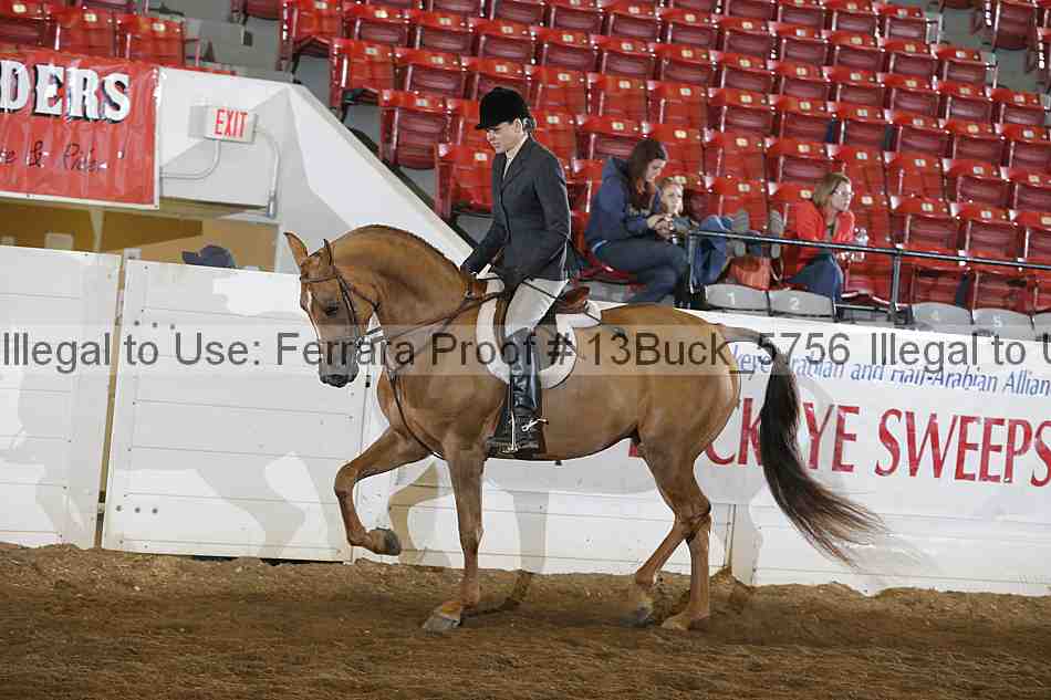 Proof 13buck_5756