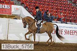 13buck_5756 proof