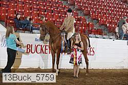 13buck_5759 proof