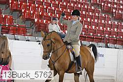13buck_5762 proof