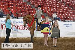 13buck_5764 proof