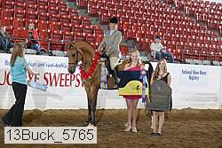 13buck_5765 proof
