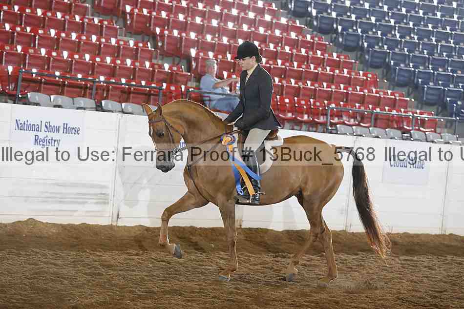 Proof 13buck_5768