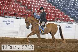 13buck_5768 proof