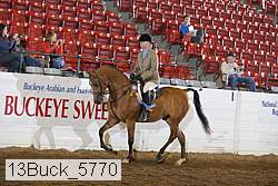 13buck_5770 proof