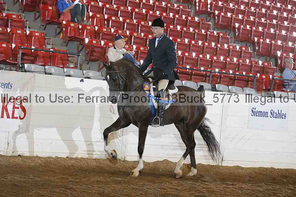 Proof 13buck_5773