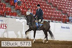 13buck_5773 proof