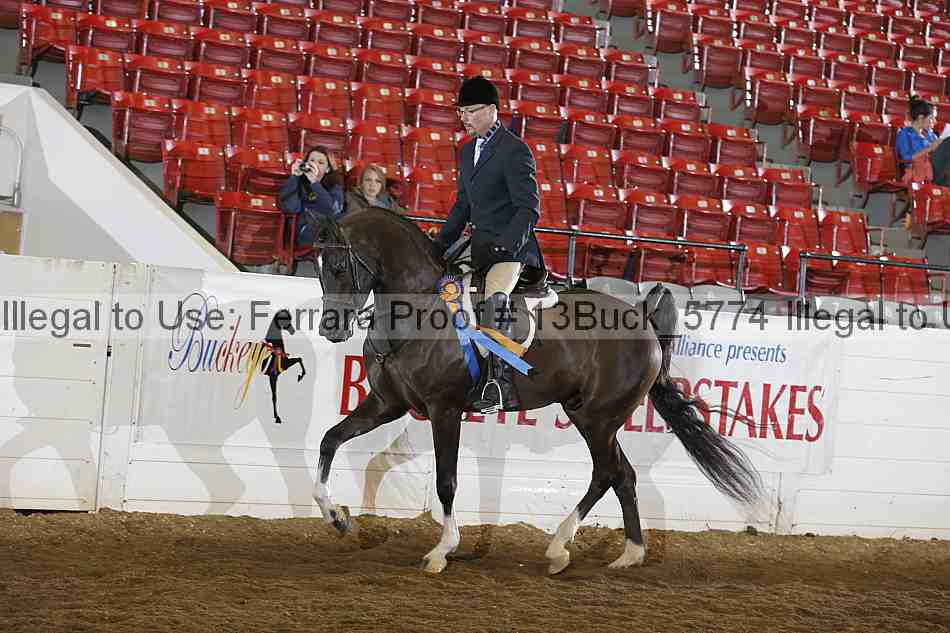 Proof 13buck_5774