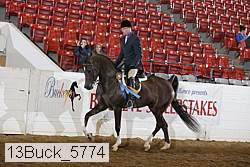 13buck_5774 proof