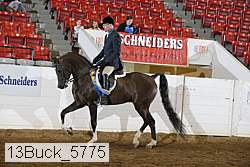 13buck_5775 proof