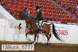 13buck_5777 proof