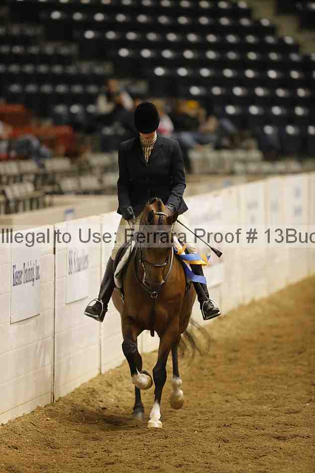 Proof 13buck_5780