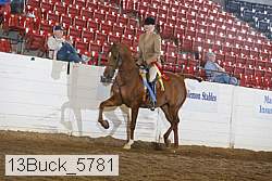 13buck_5781 proof