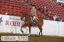 13buck_5782 proof