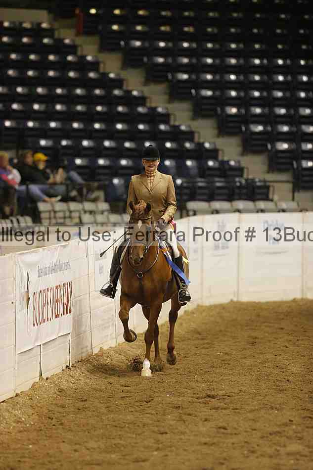 Proof 13buck_5783