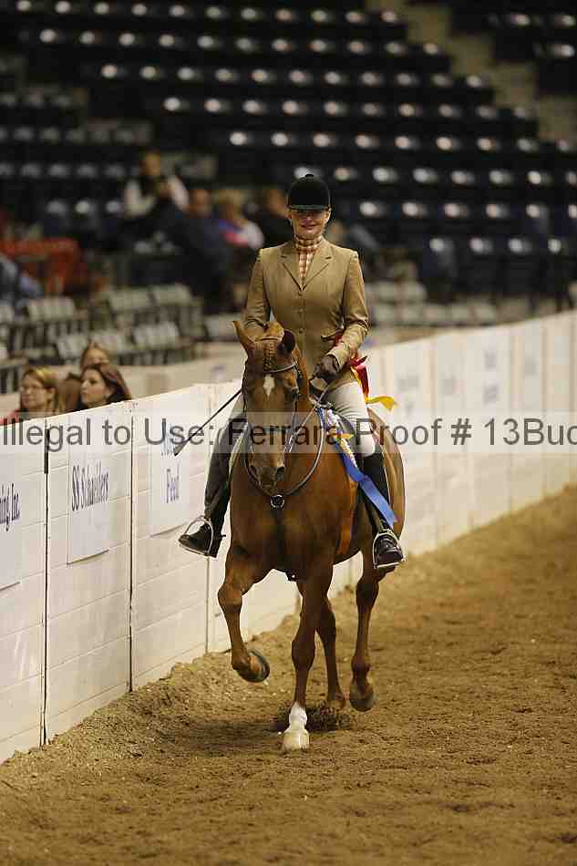 Proof 13buck_5784