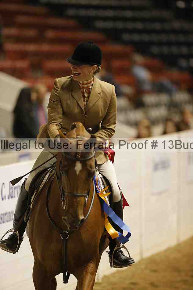Proof 13buck_5787
