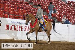 13buck_5790 proof