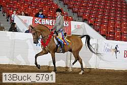 13buck_5791 proof