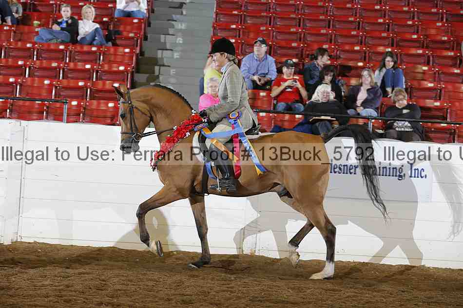 Proof 13buck_5792