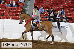 13buck_5792 proof