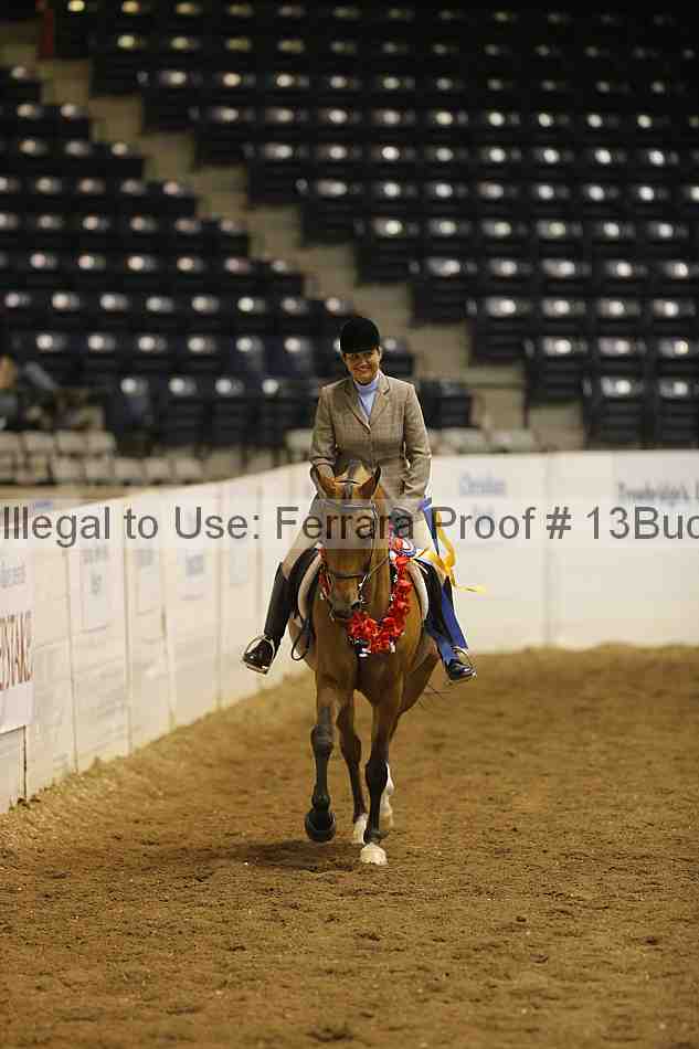 Proof 13buck_5793