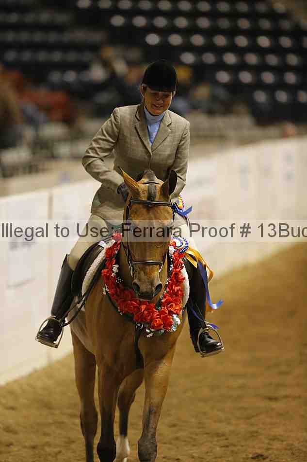 Proof 13buck_5796