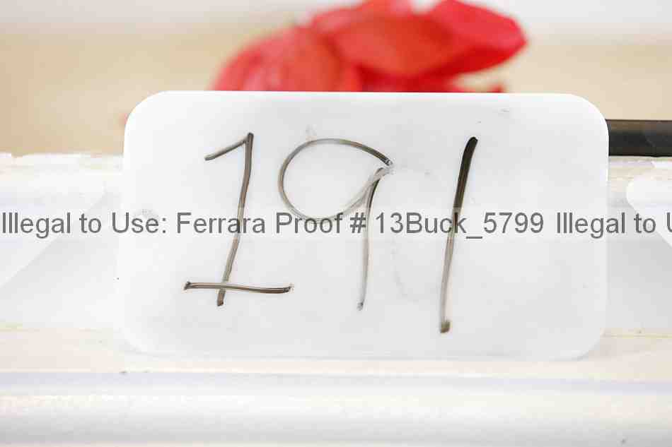 Proof 13buck_5799