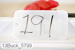 13buck_5799 proof