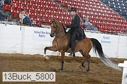 13buck_5800 proof