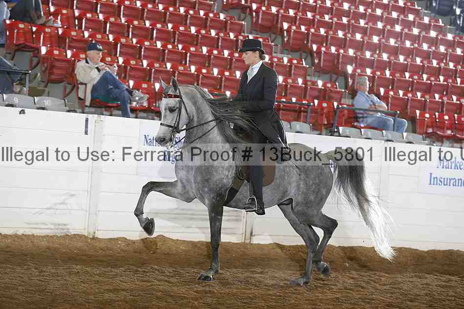 Proof 13buck_5801